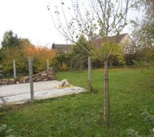 Terrain vierge apr&egrave;s destruction cabanon 1