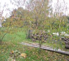 Terrain vierge apr&egrave;s destruction cabanon 12