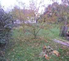 Terrain vierge apr&egrave;s destruction cabanon 11