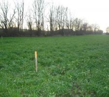 Les 4 piquets d'implantation
 delimitant notre maison