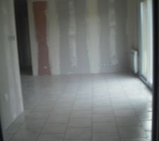 Carrelage en psoe decal partout  SAUF sdb et autre couleur