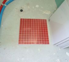 Mosa&iuml;que casto pour la douche italienne dans SDE