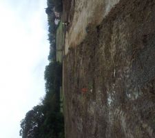 Un bout de ma parcelle