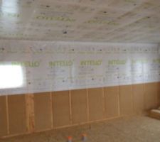 Plafond terminé, à l'attaque des murs !!!