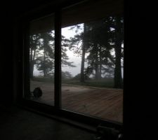 Vue matinale avec le brouillard dehors