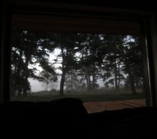 Vue matinale avec le brouillard dehors (2)