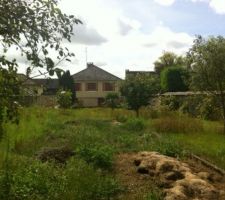 Terrain avant travaux