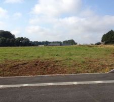 Lundi 3 Septembre 2012 : piquets d'implantation de la maison pos&eacute;s sur le terrain par mr Gueudry