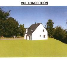 Notre future maison en vue d'insertion sur notre future terrain :)