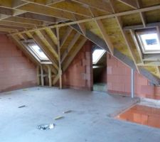 Entr&eacute;e grenier et velux sdb