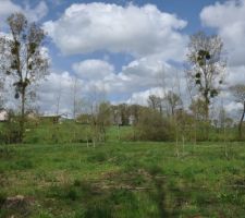 Partie inondable du terrain, au mois d'avril 2012.