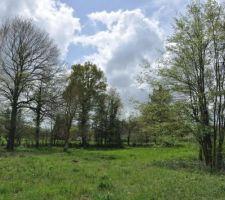 Partie inondable du terrain, avec la rivi&egrave;re &agrave; droite, au mois d'avril 2012.