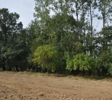 Partie constructible du terrain, au mois de septembre 2012. Le gros tas de sable a disparu, ainsi que quelques arbres.