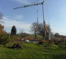 Oh la belle grue !!!