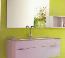 Meuble Vasque SDB RdC