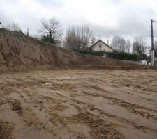 J4_Environ 1.70m de haut.