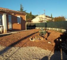 Toujours les photinias...et sans oublié la brouette très utile pour le jardinage...