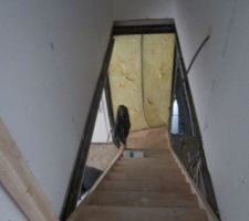 L'escalier dans rambarde pour l'instant