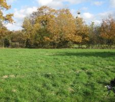Vue d'ensemble du terrain( enfin il manque une partie a droite)