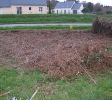 Apr&egrave;s ...  :)