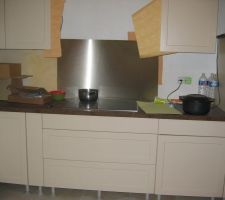 &eacute;chantillon plaque inox...et pour voir coloris des murs...