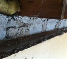 Poutre bois sur mur porteur chambre 1