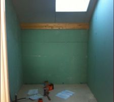 Sdb enfants avec velux à D au lieu d'être centré
