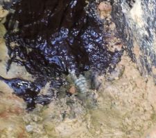 Passage paroie vide sanitaire câble prise de terre