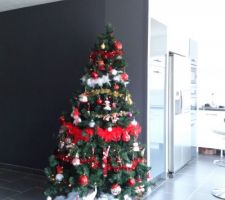 Premier sapin !!