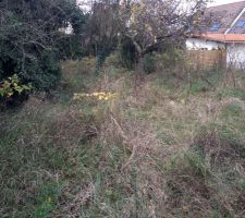 Notre beau terrain bien vert