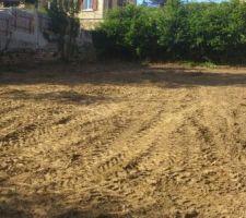Terrain sans les arbres