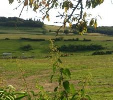 Vue de le future terrasse...