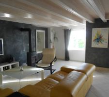 Séjour actuel maison principale