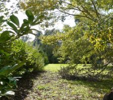 Vue de l'acc&egrave;s avant d&eacute;pose de la haie.