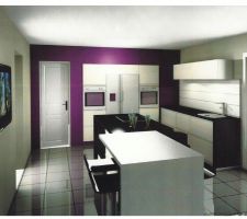 Photo de cuisine avec couleurs choisies