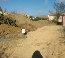 Fondations coul&eacute;es