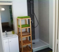 Appartement témoin.   salle d'eau
