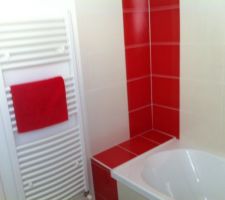 Appartement témoin. salle de bain avec seche serviette