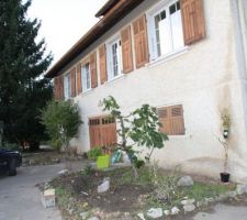 Apr&eacute;s n&eacute;ttoyage des massifs