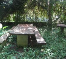 Etat de lieux jardin