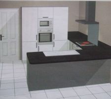 Vue 3D de la cuisine toute simple.