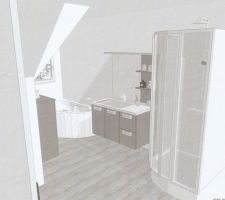 Visuel de notre future salle de bains