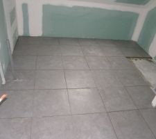 Carrelage Salle de bain Haut