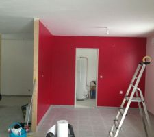 Cuisine Rose Framboise Dulux
