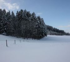 30 cm de neige, début décembre