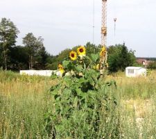 On bosse sur les plans de la maison aussi!