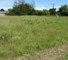 Prise au fond du terrain constructible cot&eacute; droit. terrain non constructible dans le dos.on voit la grange de mon grand p&egrave;re