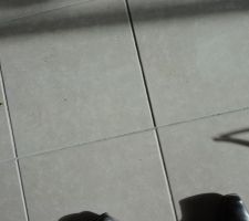 Joints magnifiques!!! M&ecirc;me moi je fais mieux!