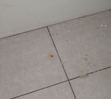 Petit souvenir des carreleurs