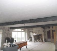 Pose du lambris au plafond,assez facile à faire une fois parti